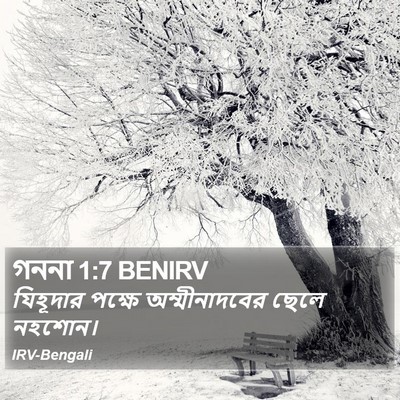 গননা 1:7 BENIRV Bible Verse Image