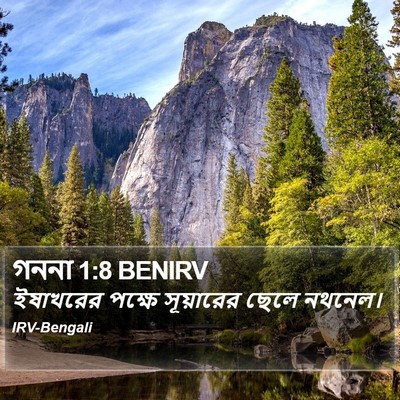 গননা 1:8 BENIRV Bible Verse Image