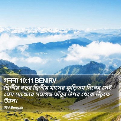 গননা 10:11 BENIRV Bible Verse Image