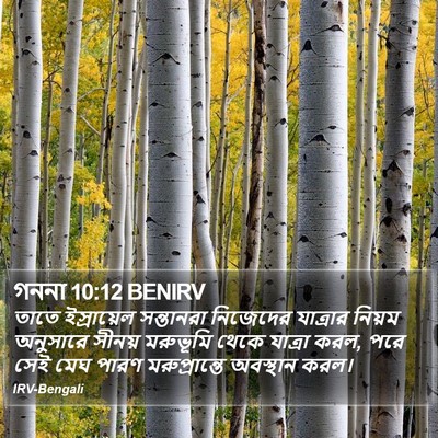 গননা 10:12 BENIRV Bible Verse Image