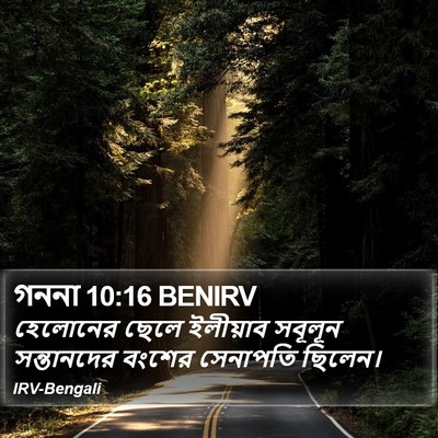 গননা 10:16 BENIRV Bible Verse Image