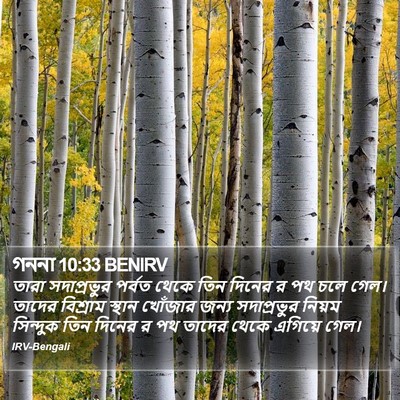 গননা 10:33 BENIRV Bible Verse Image