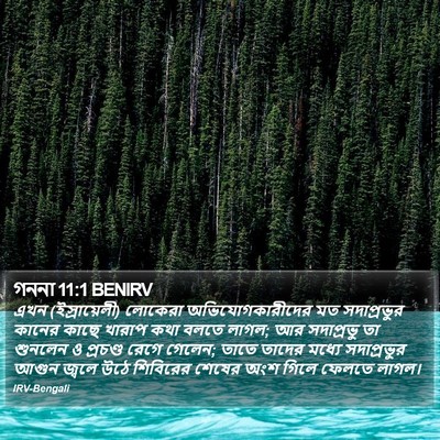 গননা 11:1 BENIRV Bible Verse Image