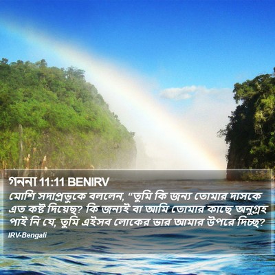 গননা 11:11 BENIRV Bible Verse Image