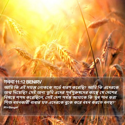 গননা 11:12 BENIRV Bible Verse Image