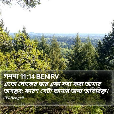 গননা 11:14 BENIRV Bible Verse Image