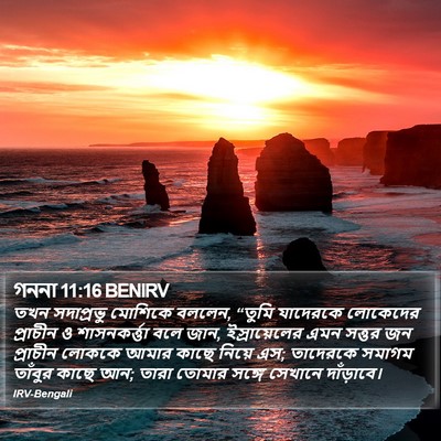 গননা 11:16 BENIRV Bible Verse Image