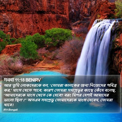 গননা 11:18 BENIRV Bible Verse Image