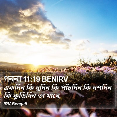 গননা 11:19 BENIRV Bible Verse Image