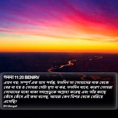 গননা 11:20 BENIRV Bible Verse Image