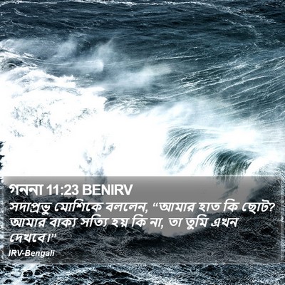 গননা 11:23 BENIRV Bible Verse Image