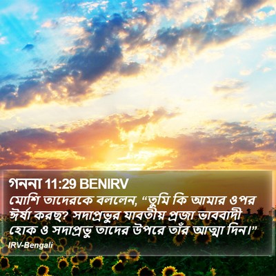 গননা 11:29 BENIRV Bible Verse Image