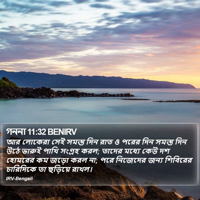 গননা 11:32 BENIRV Bible Verse Image