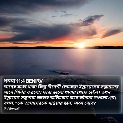 গননা 11:4 BENIRV Bible Verse Image