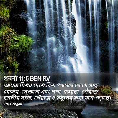 গননা 11:5 BENIRV Bible Verse Image