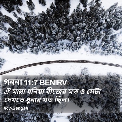 গননা 11:7 BENIRV Bible Verse Image