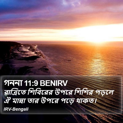 গননা 11:9 BENIRV Bible Verse Image