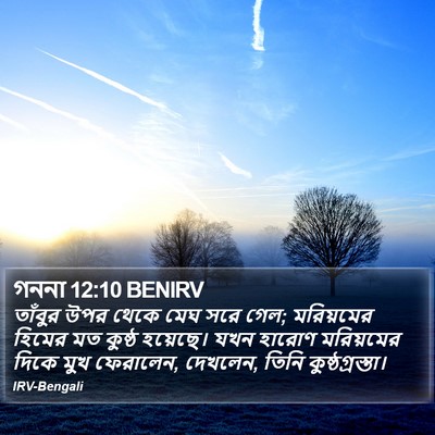 গননা 12:10 BENIRV Bible Verse Image
