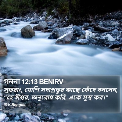 গননা 12:13 BENIRV Bible Verse Image