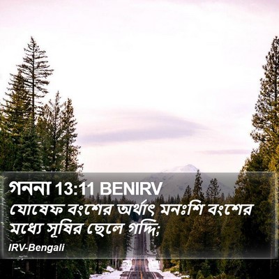 গননা 13:11 BENIRV Bible Verse Image