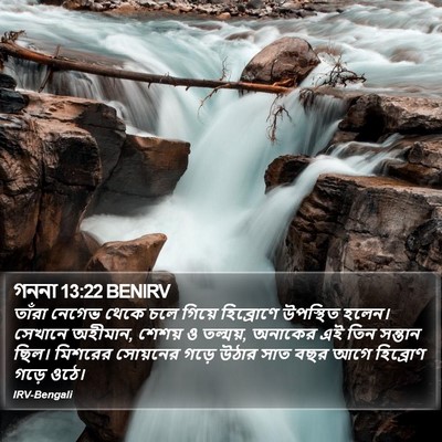 গননা 13:22 BENIRV Bible Verse Image