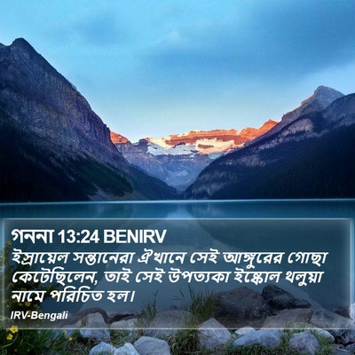 গননা 13:24 BENIRV Bible Verse Image
