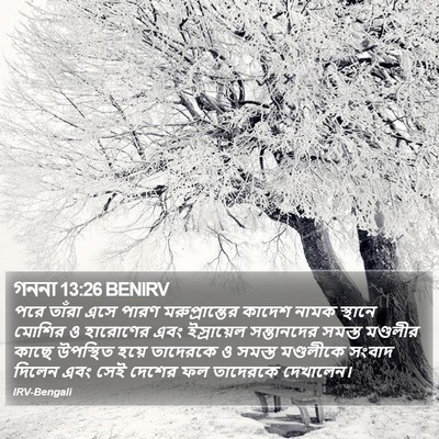 গননা 13:26 BENIRV Bible Verse Image