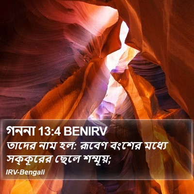 গননা 13:4 BENIRV Bible Verse Image