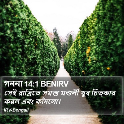 গননা 14:1 BENIRV Bible Verse Image