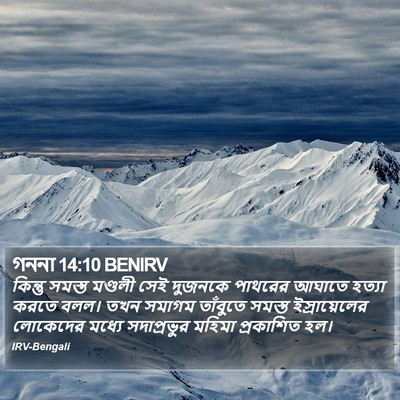 গননা 14:10 BENIRV Bible Verse Image