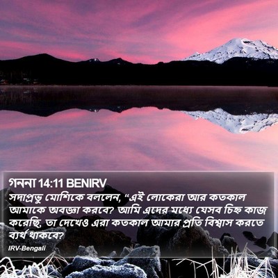 গননা 14:11 BENIRV Bible Verse Image