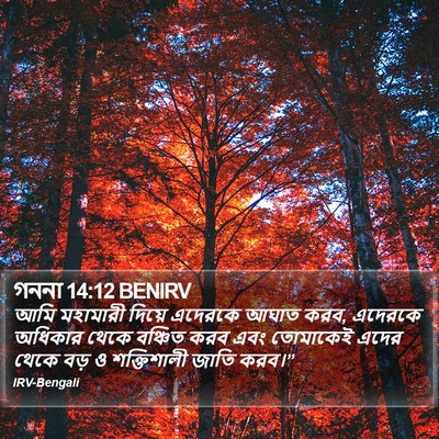 গননা 14:12 BENIRV Bible Verse Image