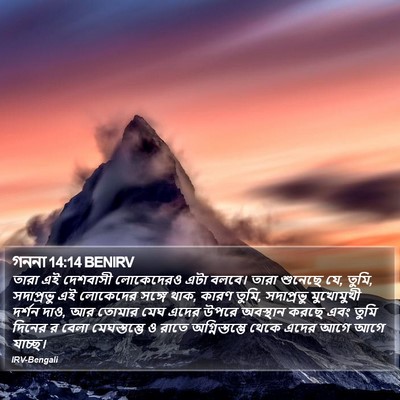 গননা 14:14 BENIRV Bible Verse Image
