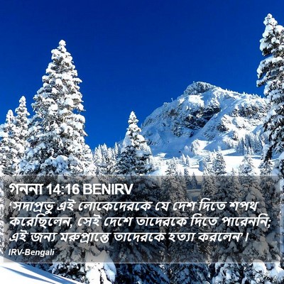 গননা 14:16 BENIRV Bible Verse Image