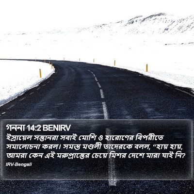 গননা 14:2 BENIRV Bible Verse Image