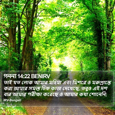 গননা 14:22 BENIRV Bible Verse Image