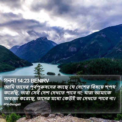 গননা 14:23 BENIRV Bible Verse Image