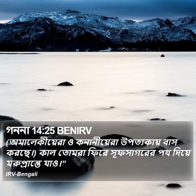 গননা 14:25 BENIRV Bible Verse Image