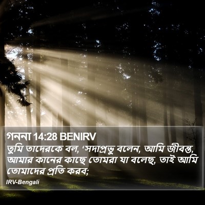 গননা 14:28 BENIRV Bible Verse Image