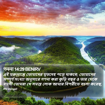 গননা 14:29 BENIRV Bible Verse Image