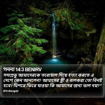 গননা 14:3 BENIRV Bible Verse Image