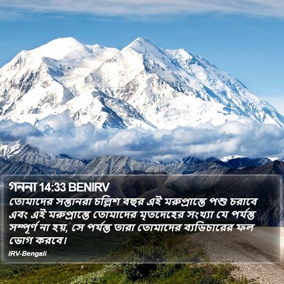 গননা 14:33 BENIRV Bible Verse Image