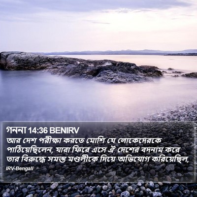 গননা 14:36 BENIRV Bible Verse Image