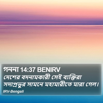 গননা 14:37 BENIRV Bible Verse Image