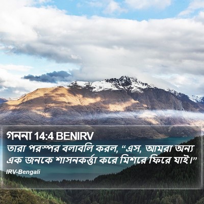 গননা 14:4 BENIRV Bible Verse Image