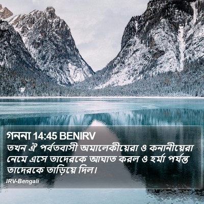 গননা 14:45 BENIRV Bible Verse Image