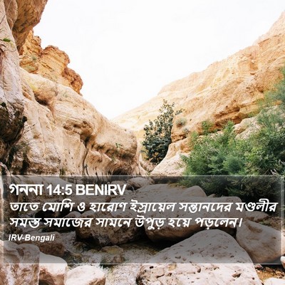 গননা 14:5 BENIRV Bible Verse Image
