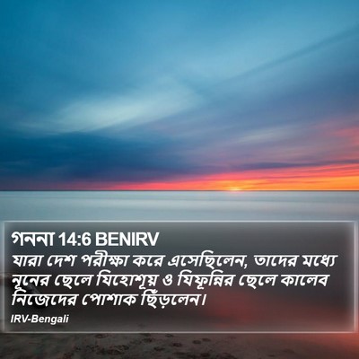 গননা 14:6 BENIRV Bible Verse Image