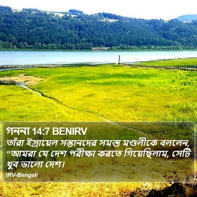 গননা 14:7 BENIRV Bible Verse Image
