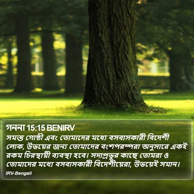 গননা 15:15 BENIRV Bible Verse Image